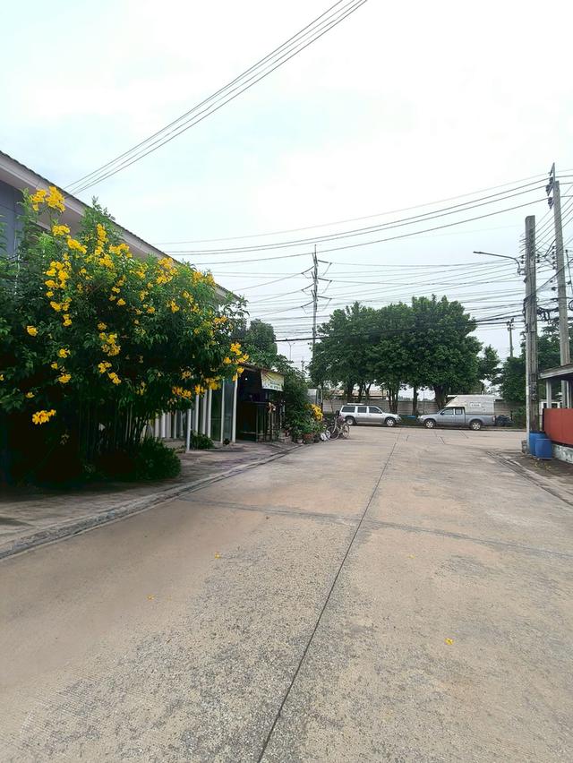 ทาวน์เฮ้าส์มีนบุรี  นิมิตรใหม่  หทัยราษฎร์ หมู่บ้านพฤกษาวิลล์ 62/2 นัดชมบ้าน 085-318-6868 คุณวา 2