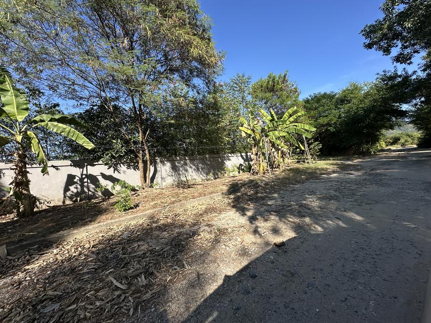 ขายที่ดินเปล่า รูปแปลงสวย เนื้อที่ 1-0-32 ไร่ ถ.ดอนนุ่น 3 ต.บึง อ.ศรีราชา จ.ชลบุรี 8