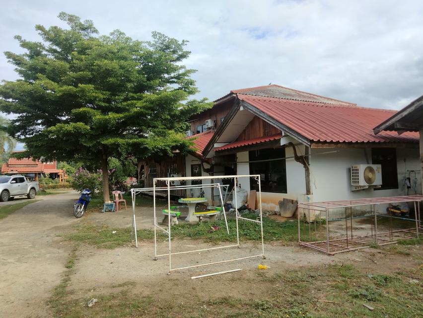 บ้านพร้อมที่ดิน ที่พิษณุโลก 11