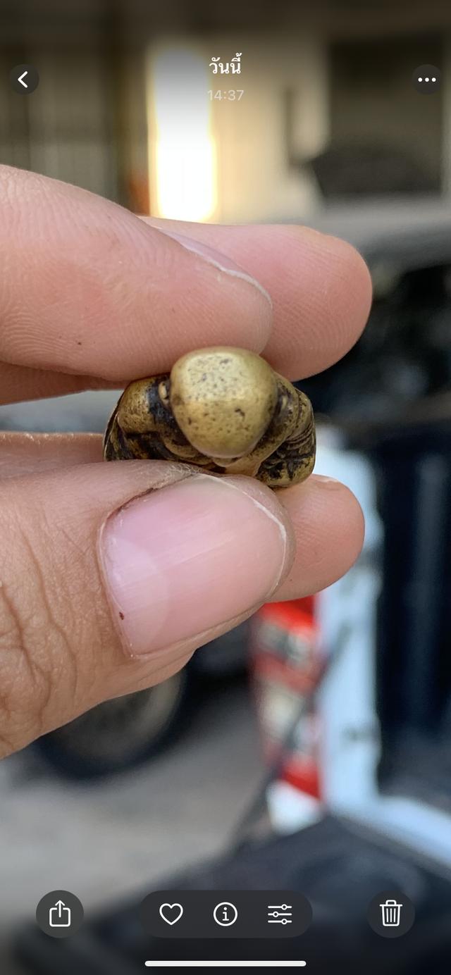 รูปหล่อหลวงพ่อเงิน ไม่รู้พิมพ์ 6