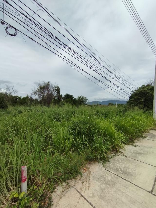 ขายที่ดินใจกลางเมืองนาป่า 200 ตรว. ซ.เพนียงพัฒนา2 ติดถนนคอนกรีตที่ดินถมสูงเท่าถนน ใกล้ถ.บายพาสเลี่ยงเมือง361 - 1 กม. เมืองชลบุรี 1