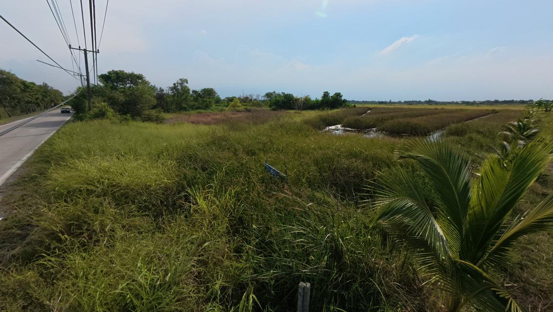 ที่ดินเปล่า ถมแล้ว ถนนคลองหลวง ต.คลองหก อ.คลองหลวง จ.ปทุมธานี