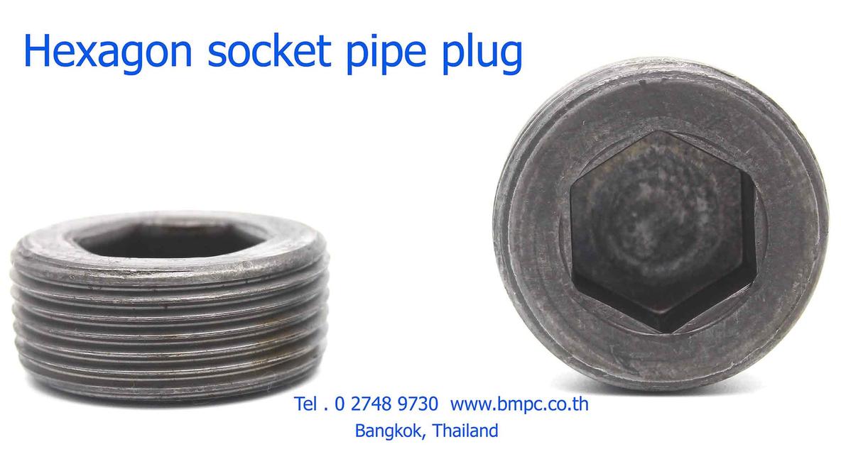 Aluminium plugs with magnet, ปลั๊ดอุดพร้อมเดือยแม่เหล้ก, Amecoil, Schnorr 8