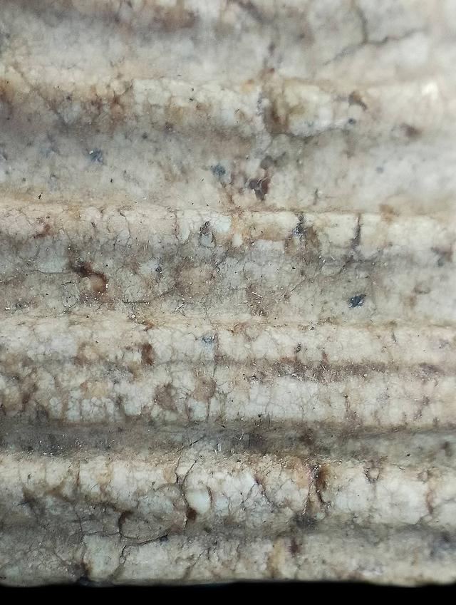 พระสมเด็จวัดระฆังฯ,พิมพ์เกศทะลุซุ้ม. รูปที่ 8