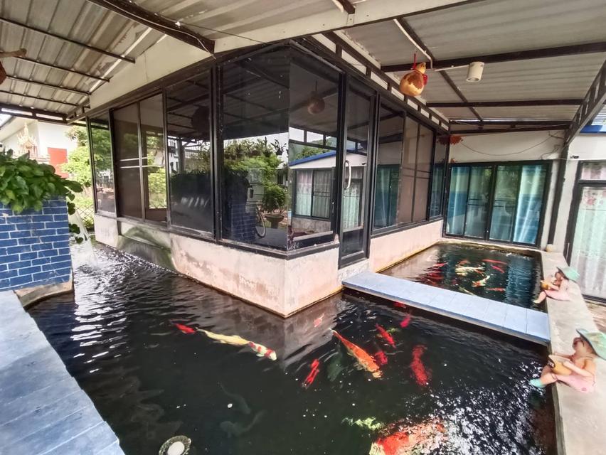 บ้านชั้นเดียวในพื้นที่1ไร่ 5