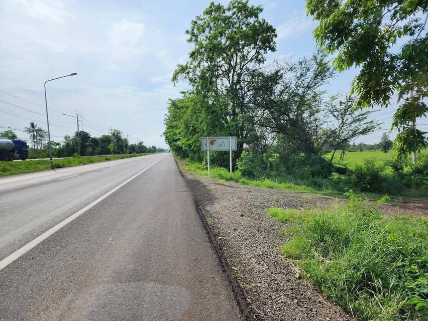 ขายที่ดินติดถนนราชสีมา เดชอุดม หมายเลข 24 ติดโรงงานเบทาโกร สาขาหนองบุญมาก อำเภอหนองบุญมากจังหวัดนครราชสีมา  5