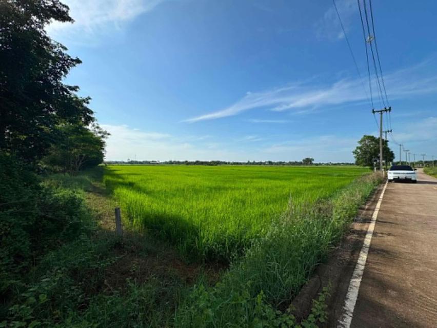 ขาย ที่ดินเปล่า เนื้อที่ 6 ไร่  อำเภอเมือง  จังหวัดพิษณุโลก 4