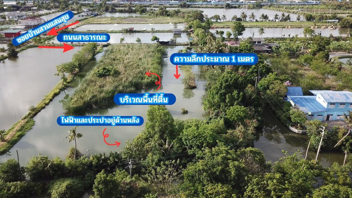 ขายที่ดินติดคลองธรรมชาติ 4 ไร่ 2 งาน 76 ตรว.   ใกล้สถานีรถไฟฟ้าสายสีม่วงตอนใต้ , ใกล้ทางด่วนกาญจนาภิเษก ประชาอุทิศ 76 เขตทุ่งครุ กรุงเทพฯ 4