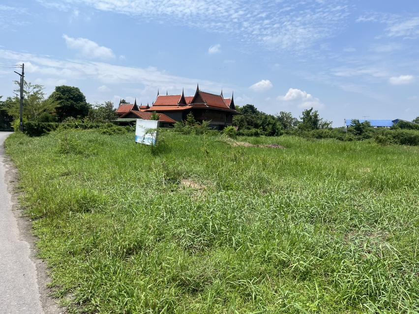 ขายที่ดิน 2 ไร่ ถมแล้ว ใกล้สนามกอล์ฟ รร.จปร. ต.พรหมณี หน้ากว้าง 40 เมตร เห็นวิวเขาชัด 11