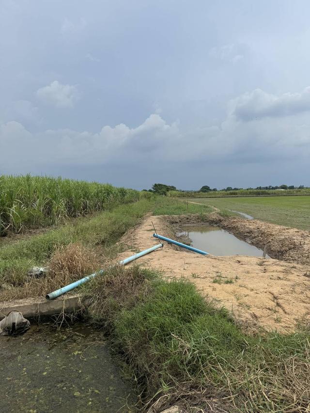 ที่ดิน ใกล้ ม.เกเกษตรกำแพงแสน 2