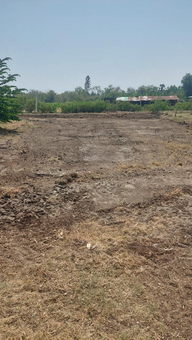 ที่ดินสองไร่พร้อมบ้านสวน 4