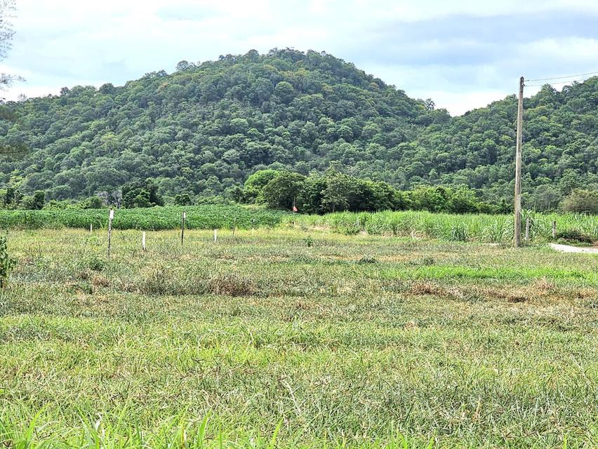 ที่ดินเขาขลุง บ้านโป่ง ราชบุรีผ่อนได้ 7