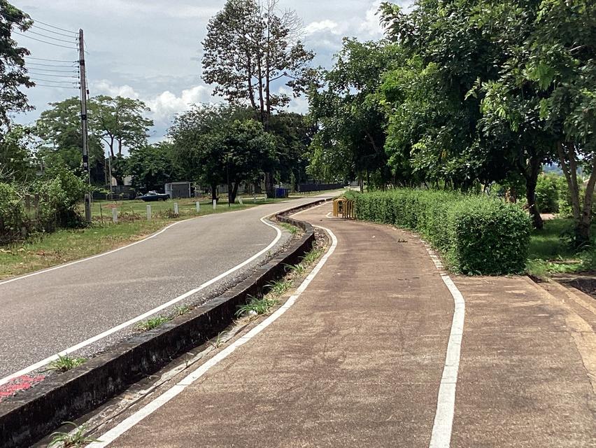 ให้เช่าที่ดืน13ไร่ใกล้สะพาน3ติดถนนเรียบโขงนครพนม 20