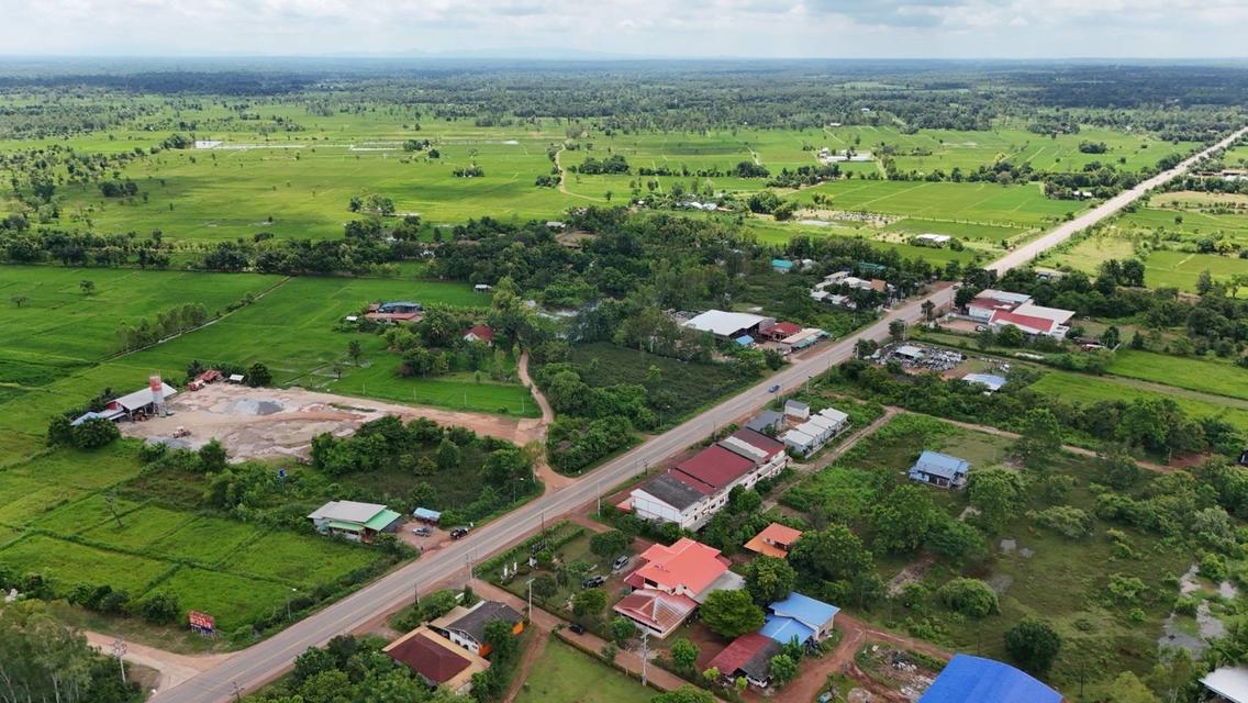 ขายที่ดิน อำเภอเจริญศิลป์ 8