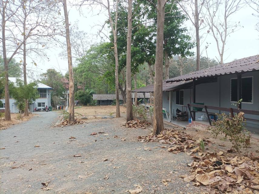 ขายที่ดินพร้อมสิ่งปลูกสร้าง ต.เชิงดอย อ.ดอยสะเก็ด จ.เชียงใหม่ 7