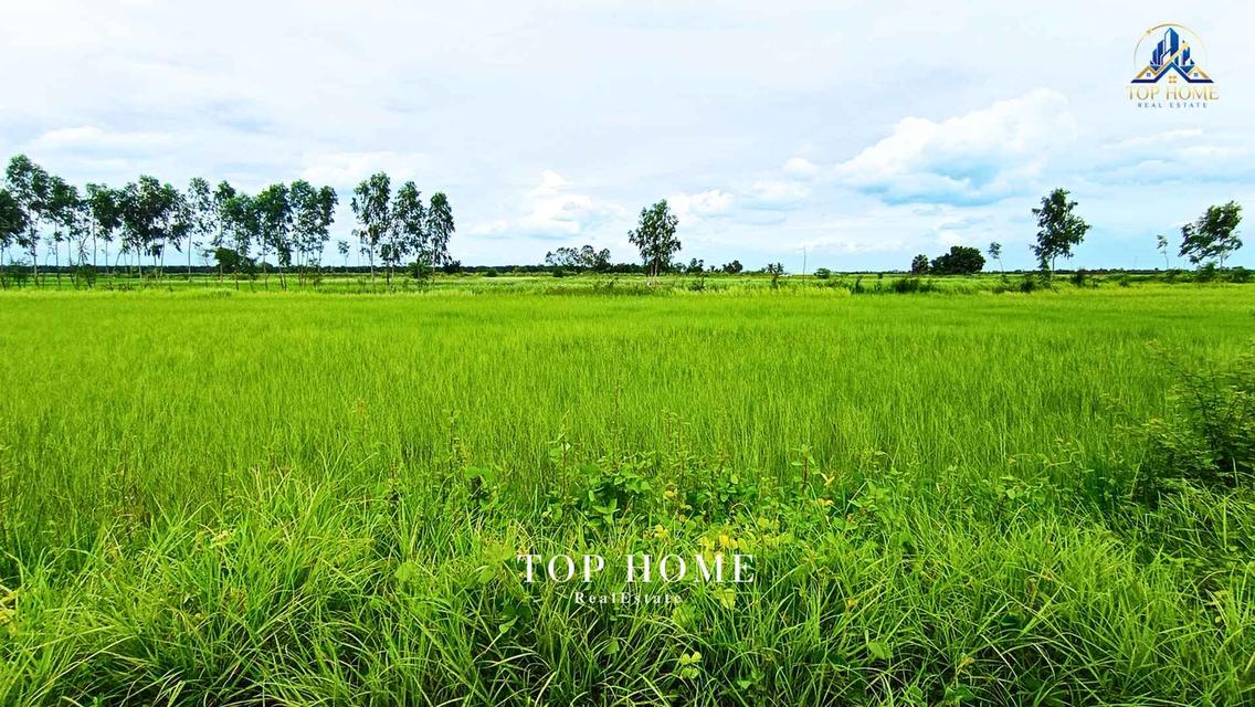 ขายด่วน! ที่ดินเปล่า 200 ตร.ว. องครักษ์ 24 — ราคาเพียง 590,000 บาท! 🔥 🌿 แปลงสวย ขนาดกำลังดี เหมาะทำสวน–เพาะปลูก | โฉนดเดียว 2