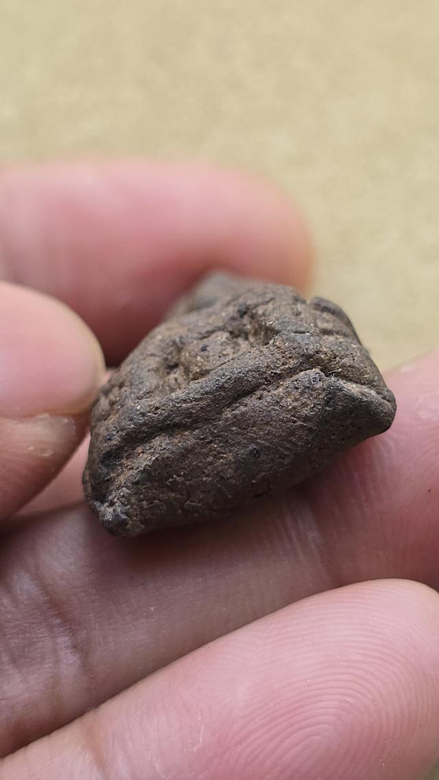 พระเลี่ยงลำพูน เนื้อเขียว 5