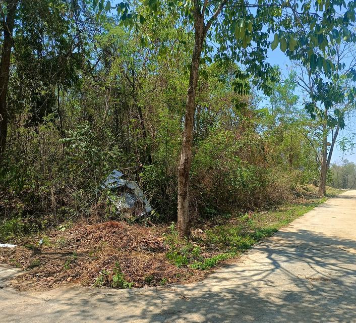 ขายที่ดิน อ.มวกเหล็ก 296 ตร.วา 2