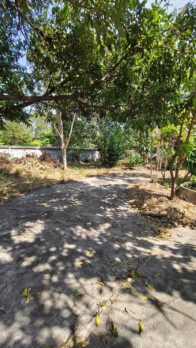 บ้านพร้อมที่ดินใจกลางบางแสน ขนาดเกือบไร่ 17