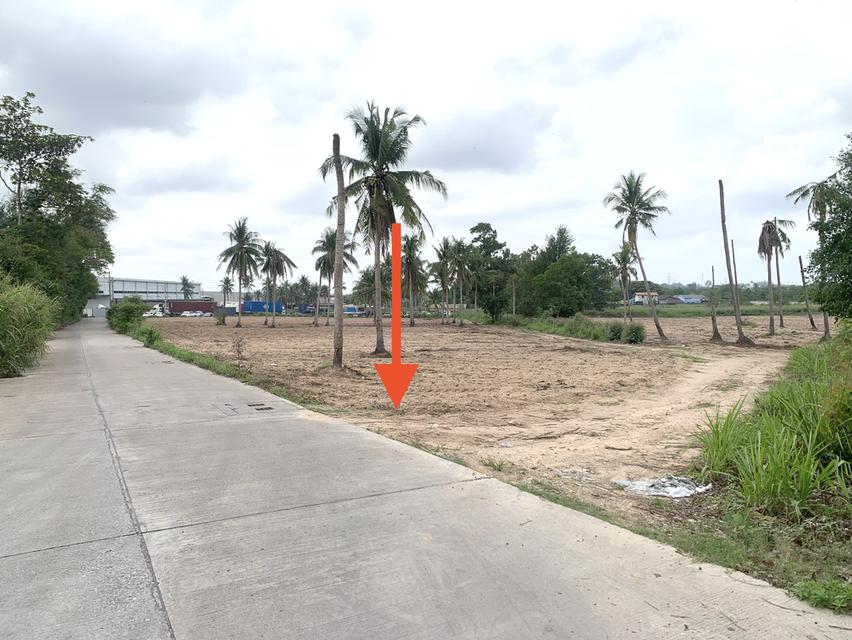 ขายที่ดินศรีราชาพื้นที่สีม่วง เนื้อที่ 35-3-71ไร่ + 8ไร่(พื้นที่สีม่วง) 5