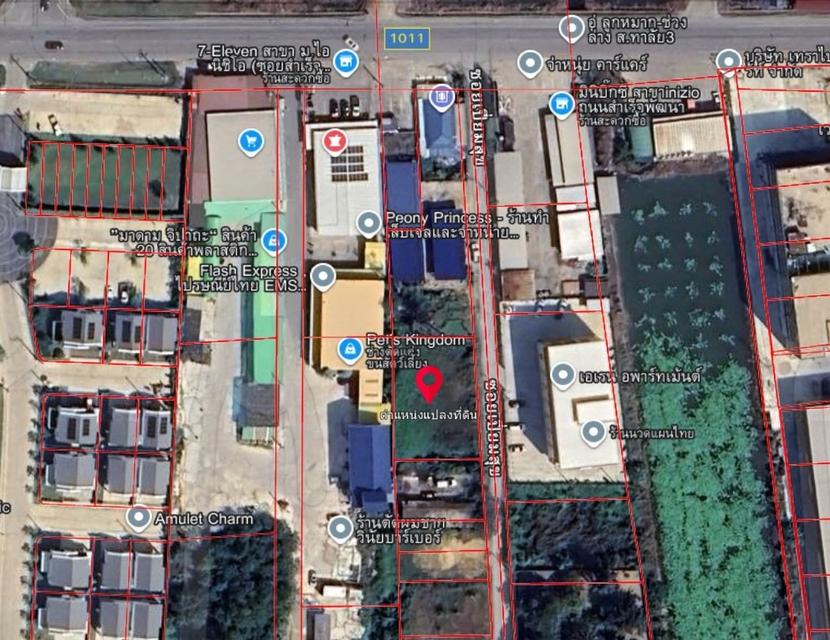 ที่ดิน 200 ตารางวา 2