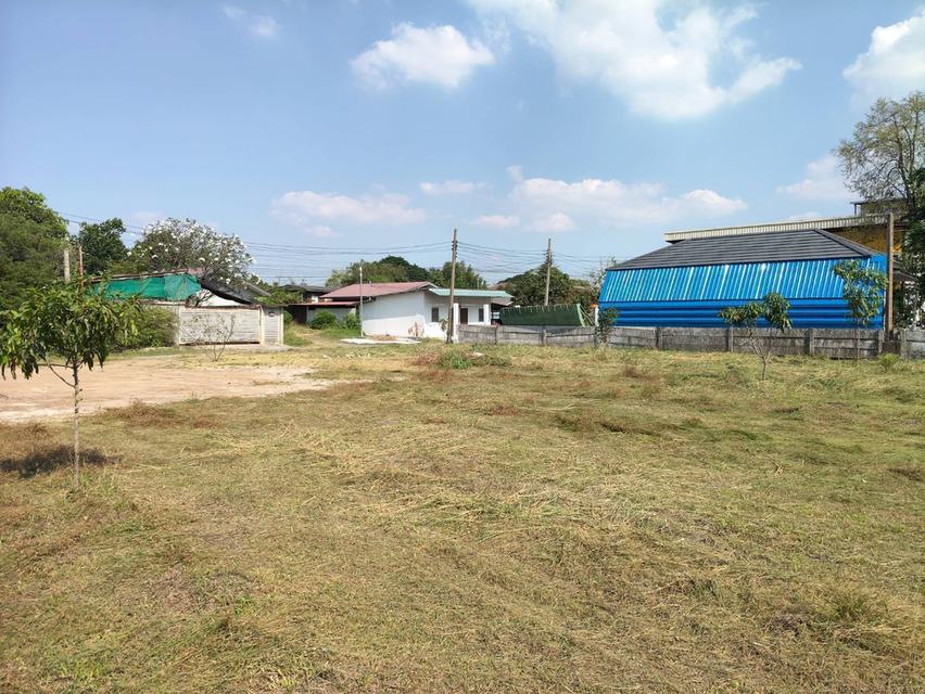ขายที่ดิน 371 ตร.ว. ติดโรงเรียนสวนกุกลาบนนทบุรี 12