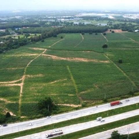 ขายที่ดินศรีราชาชลบุรี เสนอขายที่ดิน ติดถนน 331เนื้อที่ 161 ไร่ ผัง สีม่วงลาย สาธารณะณูปโภคครบ เป็นพื้นที่สีม่วง EEC รอง 3