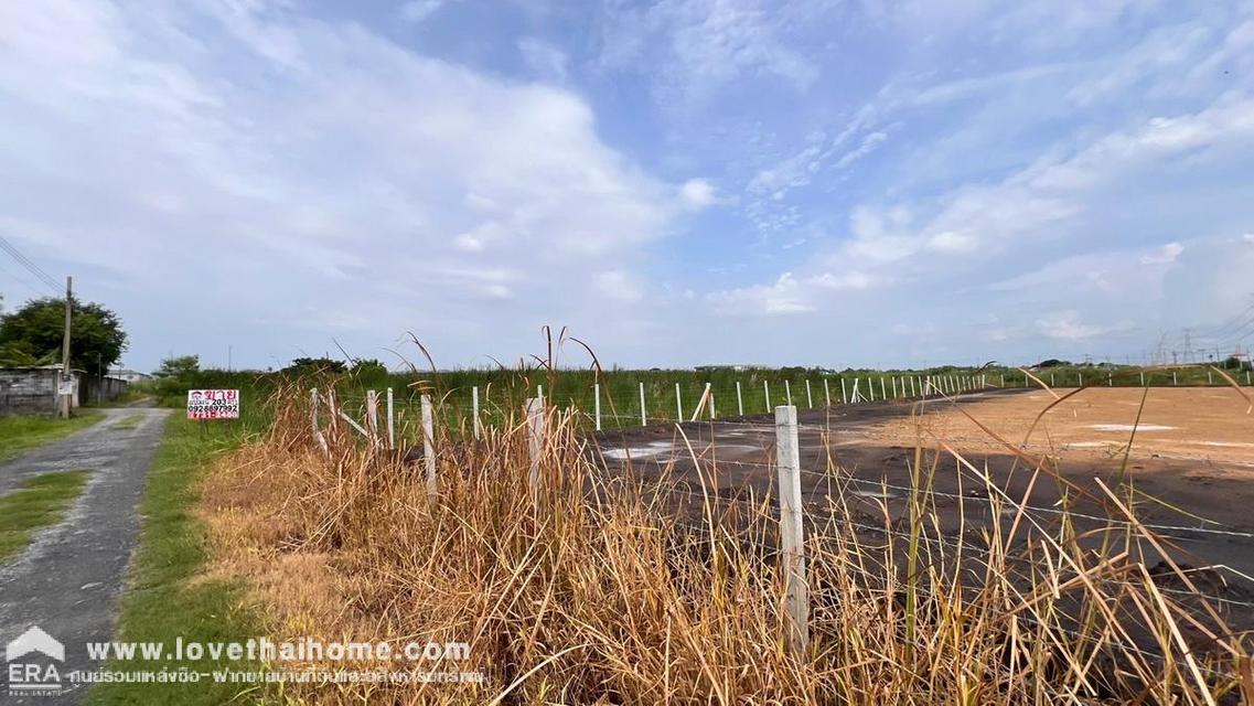 ขายที่ดิน ซอยวัดพระเงิน ถนนบางม่วง-บางคูลัด พื้นที่ 203 ตรว. เหมาะลงทุน ใกล้ตลาดน้ำบางคูลัด 6