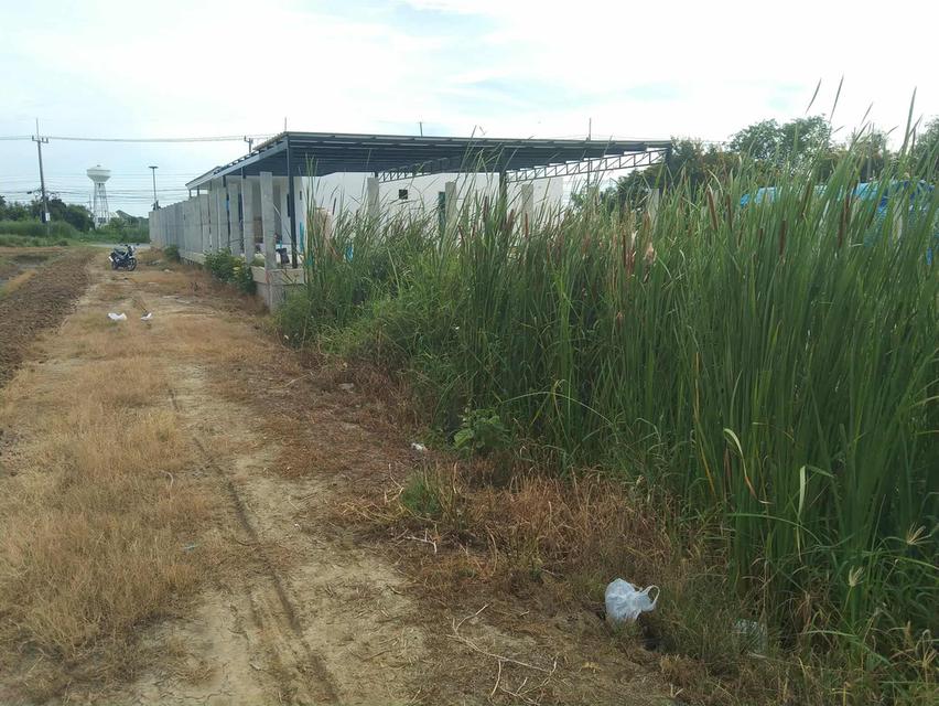 ขายที่ดินนครปฐม ถ.มาลัยแมน ต.ลำพยา อ.เมือง ราคาถูกทำเลทอง 1