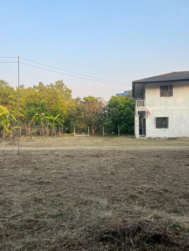 ขายบ้านพร้อมที่ดิน ในพื้นที่ 425 ตรว. จ.ลำพูน 9