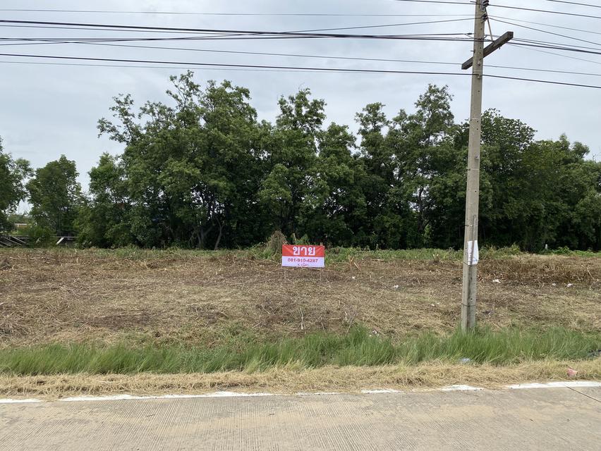 ขายที่ดินเปล่าพันท้ายนรสิงห์ 212 ตรว. แปลงมุม วิวคลอง ทำเขื่อนกันตลิ่งแล้ว 1