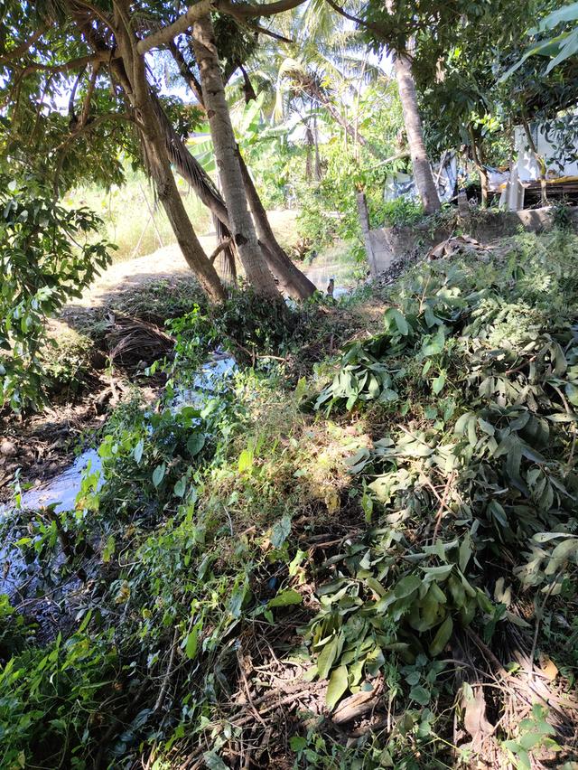 ขายที่ดิน 1 งาน 70 ตรว. 6
