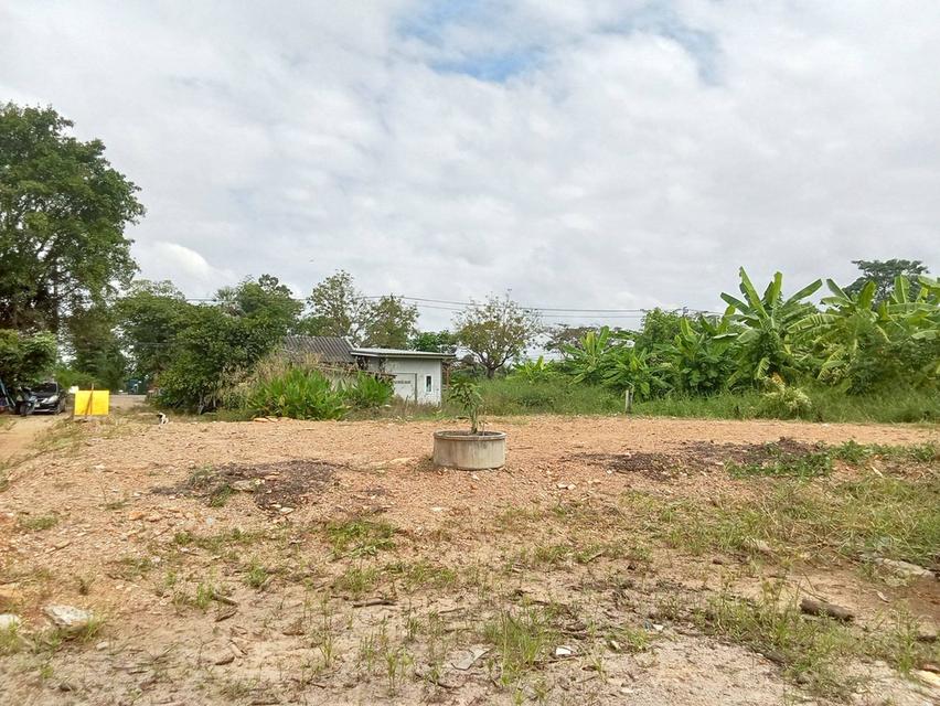 ขายที่ดินเปล่า ติดถนนผดุงพันธ์ หนองจอก กรุงเทพมหานคร 2