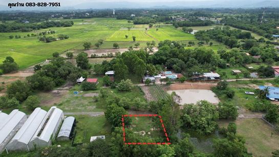(ขาย)ที่ดิน 200 ตารางวา มีโฉนด ถมแล้วเต็มพื้นที่ หน้าโรงพยาบาลปากพลี ขาย 7 แสนบาท 11