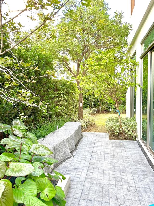 บ้านเช่าสไตล์ Japandi House 20