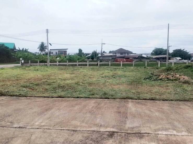 ด่วนขายที่ดิน 142 ตร.ว. บ้านดู่ จ.เชียงราย สอบถามข้อมูลเพิ่มเติม ได้ที่ 0917987997 , 0629394165 3