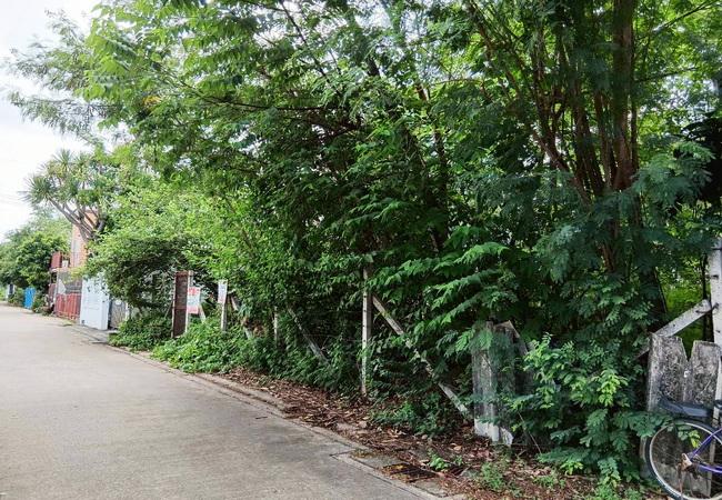 ขายที่ดิน ซอยมัยลาภ(ประเสริฐมนูกิจ 29) ลาดพร้าว กรุงเทพมหานคร เนื้อที่ 85 ตร.ว. 5