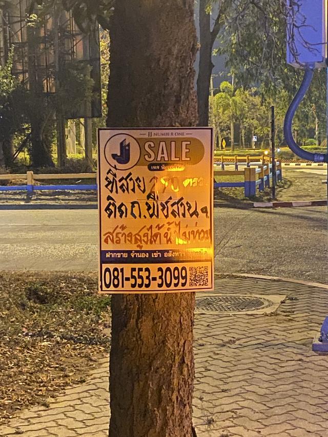 ที่ดินเชียงใหม่แปลงมุม ติดถนนพืชสวนโลก 10