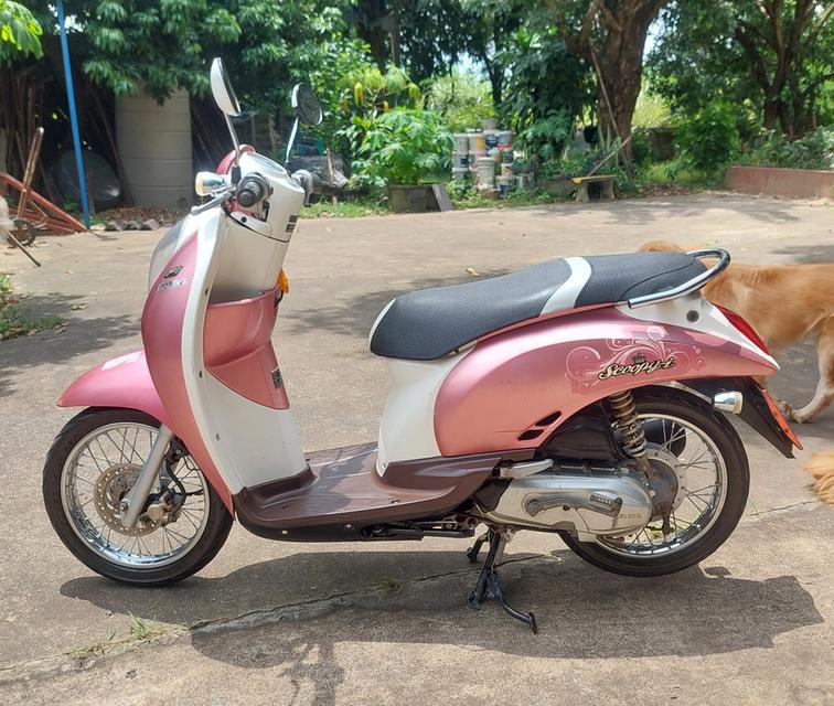 honda scoopy i รถมือสอง