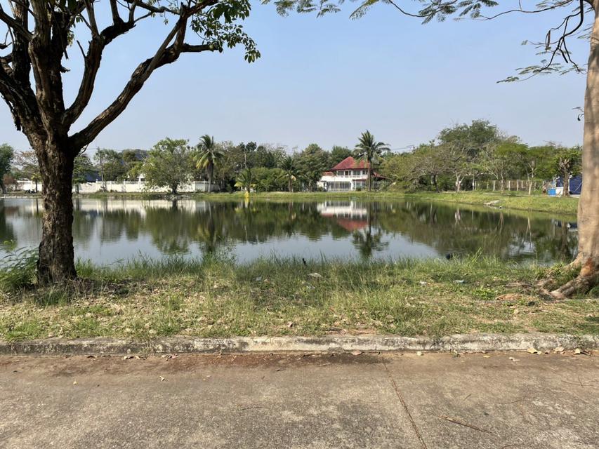 Urgent Sale Nice Land 780 SQM. FOR HOUSE  IN THE BIG VILLAGE ZONE  NEAR LAKE VIEW ZONE 1