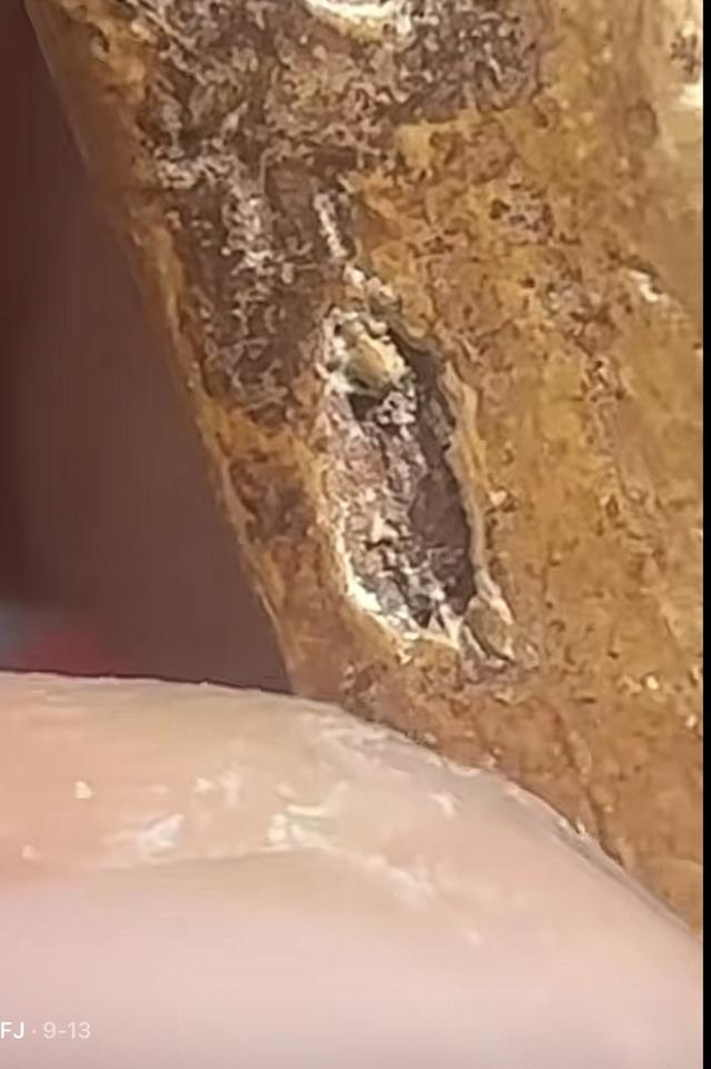 พระเครื่อง พระสมเด็จนางพญา 9