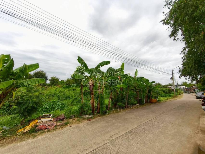 ที่ดินเปล่า ซอยเทศบาล11/1 ถนนกาญจนาภิเษก ต.บางรักพัฒนา อ.บางบัวทอง จ.นนทบุรี