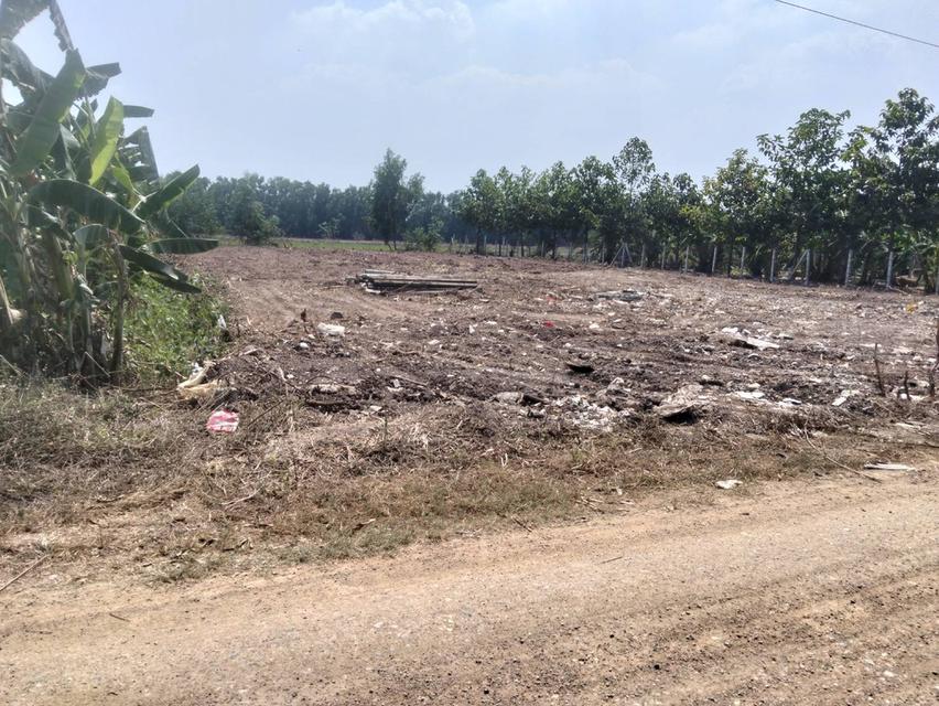 ที่ดินสวยถมแล้ว1ไร่ ใกล้ทางด่วน3.99ล้าน 4