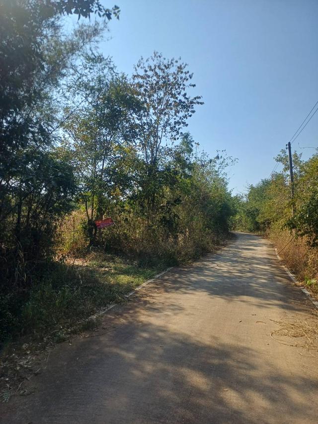 ขายที่ดินเปล่า12ไร่ 2งาน 97 ตรว บ้านนางแตน ตำบลท่าผา อำเภอเกาะคา จังหวัดลำปาง 4