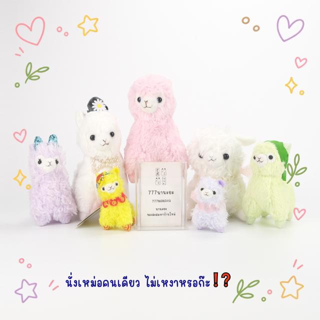 ตุ๊กตา อัลปาก้า Alpaca 🦙 Shisasosso・Alpacasso ~ Amuse・Cute ~ Plush & Keychain ~ รวมงานสะสมค่ายดัง 🐾