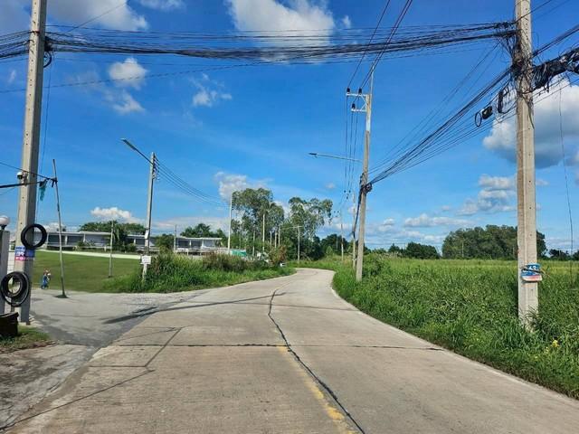 ขายที่ดินบ้านบึงชลบุรี ขายที่ดินบ้านบึงชลบุรีใกล้ถนน344 พื้นที่สีเหลือง หนองชาก บ้านบึง ชลบุรี ✴️บนเนื้อที่ 5-1-75 ไร่ 4