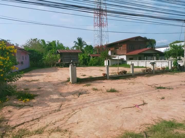 ขายที่ดินสวยทำเลดี 1 ไร่ 1 งาน 4 ตร.ว. 3,000,000 บาท ติดถนน ต.ท่าสองคอน อ.เมืองมหาสารคาม ไซส์กำลังสวย เหมาะสร้างบ้านสวน 1