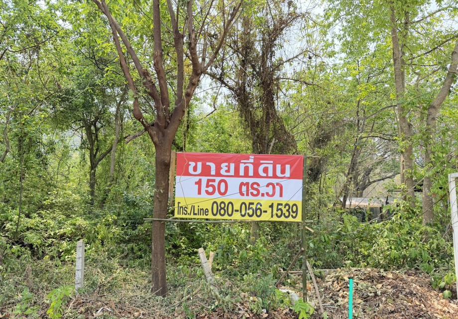 ขายที่ดินทำเลทอง ใจกลางเมืองแม่ฮ่องสอน  ใกล้สนามบิน ติดถนนใหญ่ 5016 ถนนรุ่งเรืองการค้า ขนาด 150 ตารางวา โฉนดครุฑแดง น.ส. 4จ เจ้าของขายเอง 4