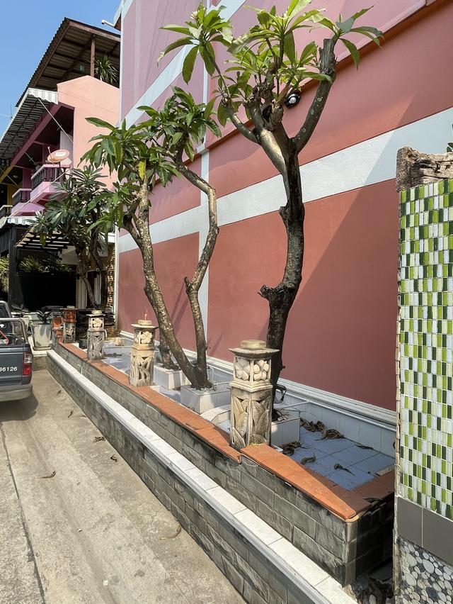 ขายอาคารพาณิชย์ ใกล้ทะเลบางเสร่ ทำเลนักท่องเที่ยว เหมาะลงทุน 4