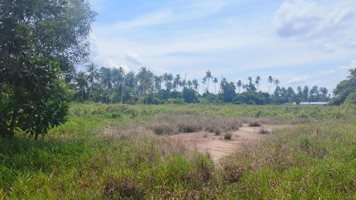 ขายด่วนที่ดินพื้นที่ท่องเที่ยวทางทะเล หาดแหลมสิงห์
